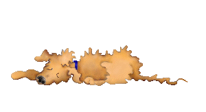 anim0032.gif