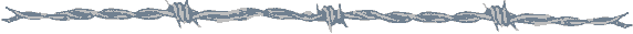 bar097.gif